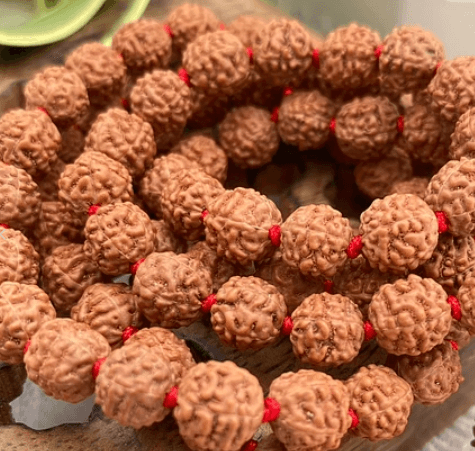 Japa Mala semillas de Rudraksha 108 cuentas