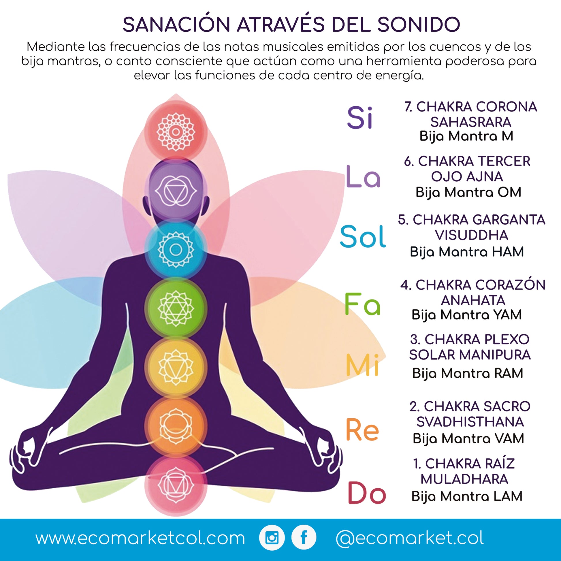 Sanacion a traves del sonido
